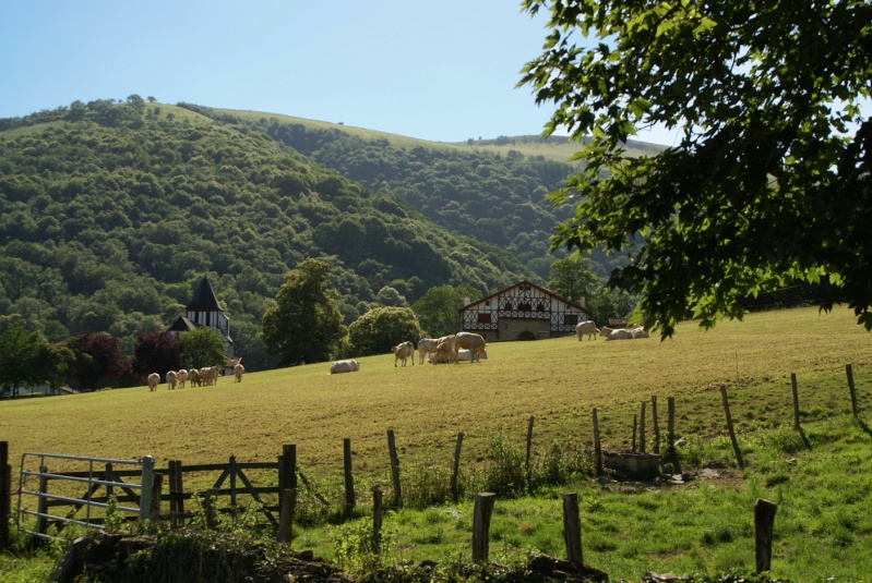 Le Pays Basque. Divers10