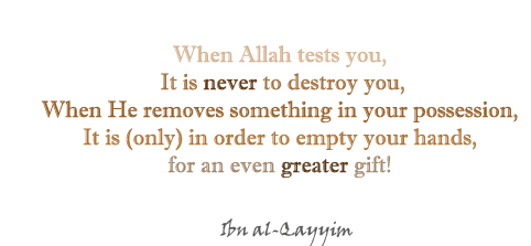 Islamic Quotes - Page 3 Tumblr24
