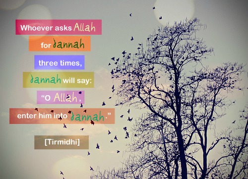 Islamic Quotes - Page 3 Tumblr48