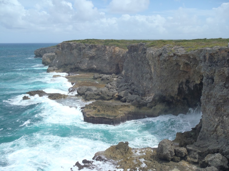 Album photos guadeloupe P3150610