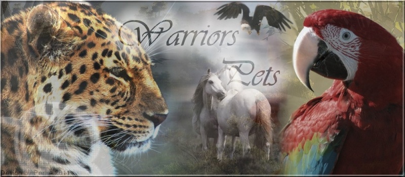 Warrior Pets Debut210