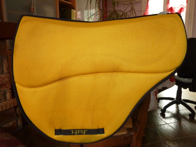 A vendre Tapis HAF jaune Endurance 45€ (port à prévoir) P1000712