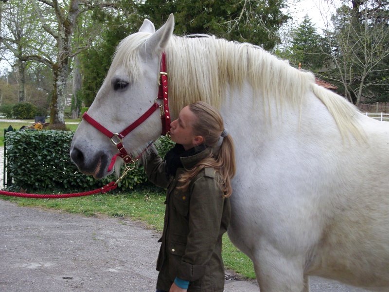 MELODIE DE LA NOTTE et CESAR, percherons et Charlotte33  (Mars 2012) - Page 8 Snb10825