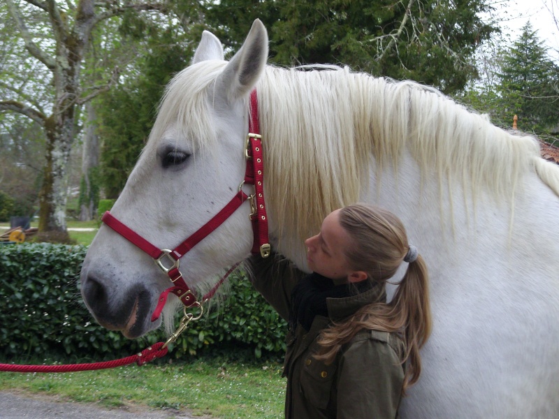 MELODIE DE LA NOTTE et CESAR, percherons et Charlotte33  (Mars 2012) - Page 8 Snb10826