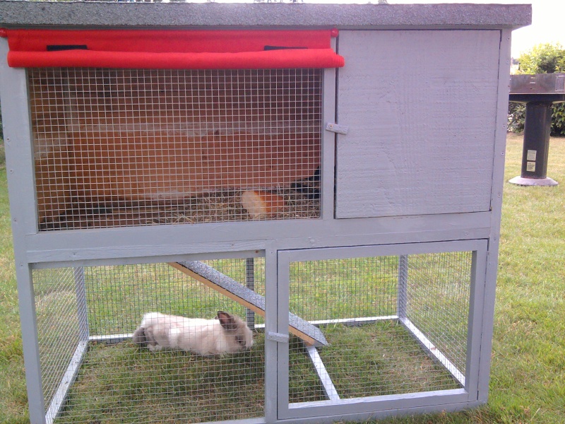 cages pour lapin ou autres rongeurs Photo022