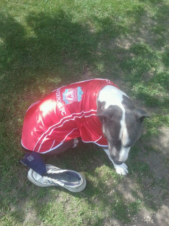 bronson in his liverpool shirt Boo10