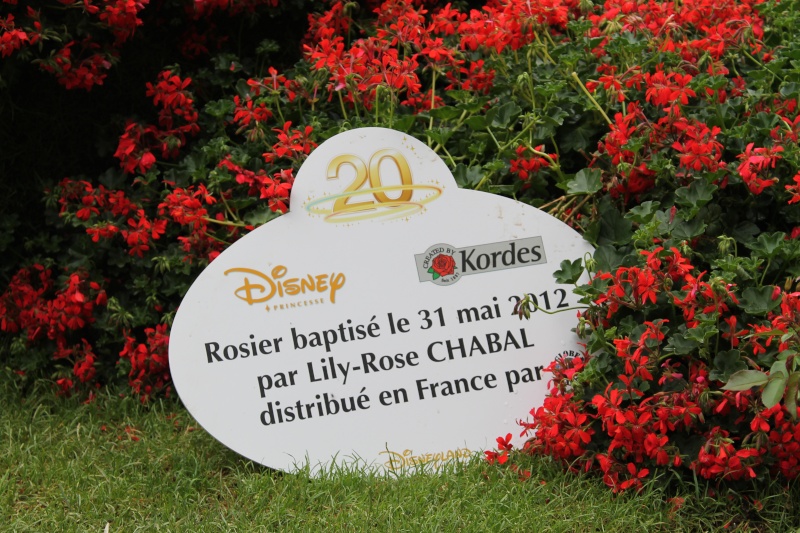 [20 ans] Disneyland Paris crée sa « Princesse Disney» Img_2610