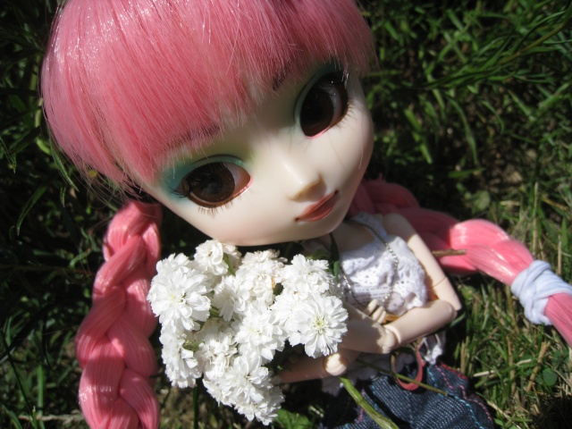 Ma pullip Aoi (prunella) Img_1911