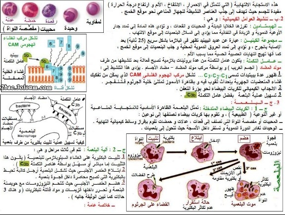 علوم الخياة والأرض. درس مفهوم الذاتي و الغير ذاتي ووسائل الدفاع عن ما هو ذاتي   210