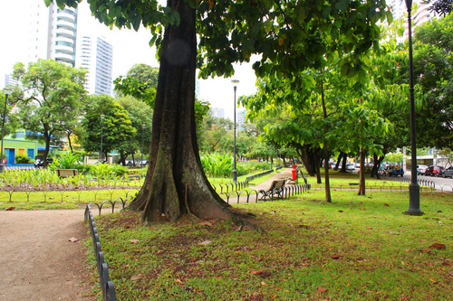 Área de Treinamento Area_d11