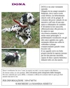 SALVIAMO QUESTI ANIMALI - Pagina 4 Dona10