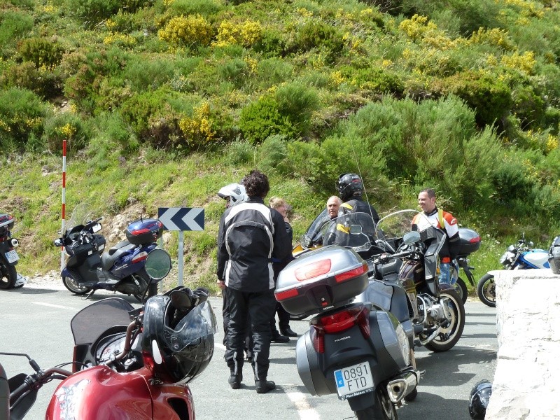 RUTA PARA EL DOMINGO 17 DE JUNIO 2012 CON INCURSIÓN EN TIERRAS CANTABRAS - Página 2 P1030037