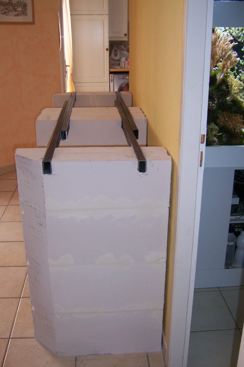 La réalisation de mon futur Bac Récifal 08211