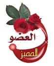 تحميل اغنية عبد الباسط حموده وسالي خليل الحب ولع في الدره Best1110
