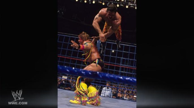 صور صور من داخل متشات SummerSlam من1988الى2011  10971813