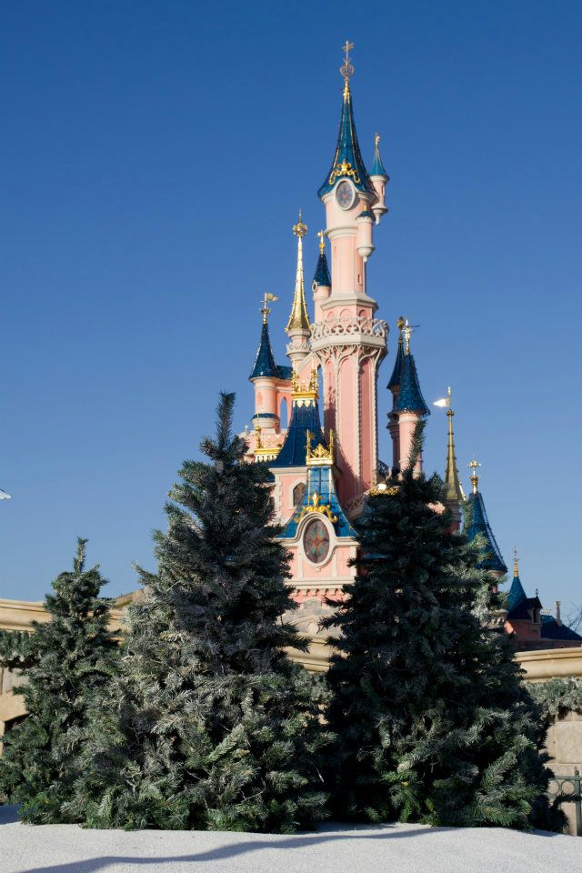 [ Photos ] Un Noël à Disneyland Resort Paris 37872010