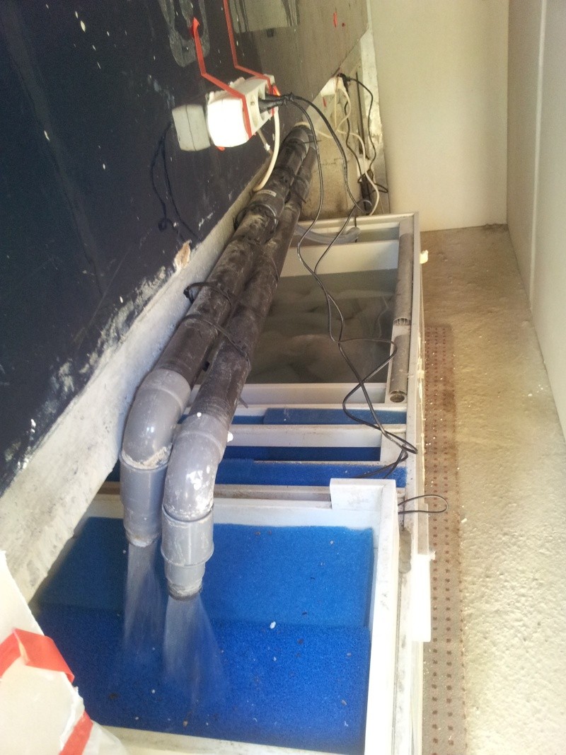 mon bac de 3300 litres  Decant12