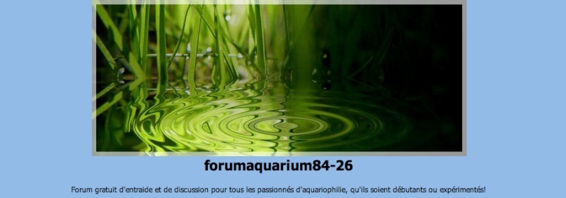 Forum aquarium 84-26 Image_63