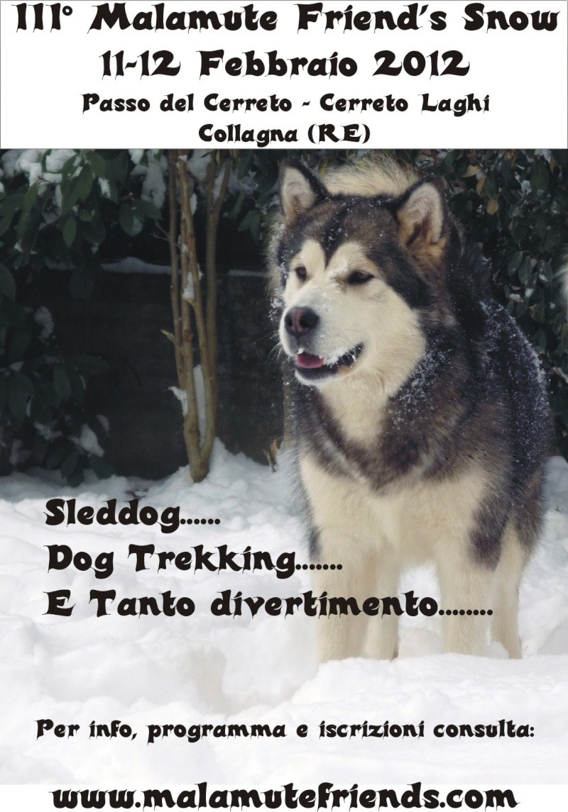 III Malamute's Friends Snow Passo Del Cerreto‏ Iii_mf11