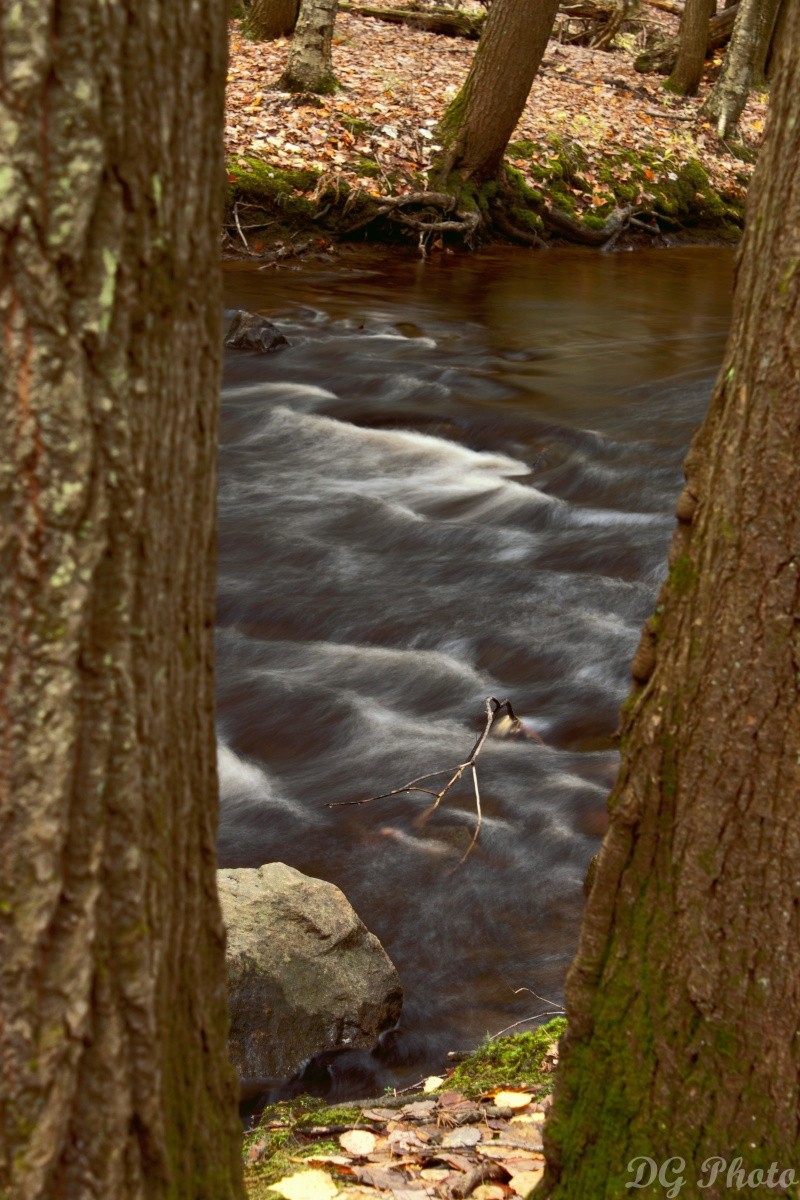 File d'eau Daniel  part 2 Filee_14