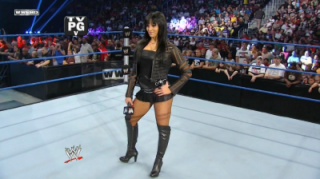 The WWF Diva's Championship Normal12