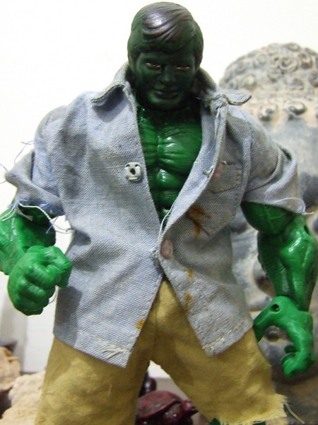 Il mio Hulk - Jim!!!!! Dscf5420