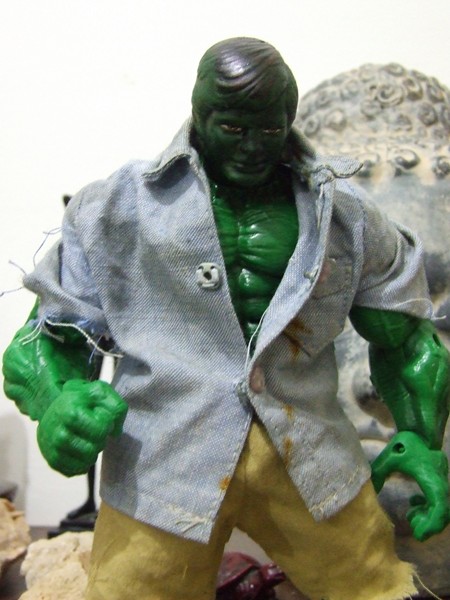 Il mio Hulk - Jim!!!!! Dscf5421