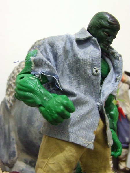 Il mio Hulk - Jim!!!!! Dscf5422