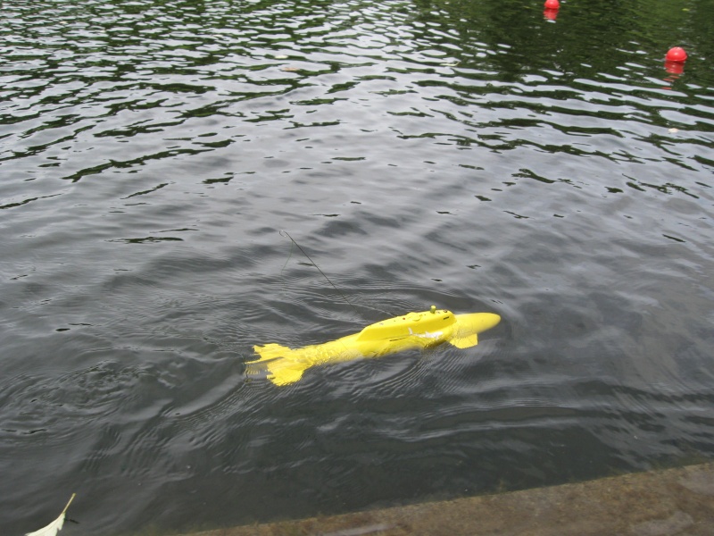 EDINBURGH MODEL BOAT CLUB,SUB DAY, 2012 Img_2011