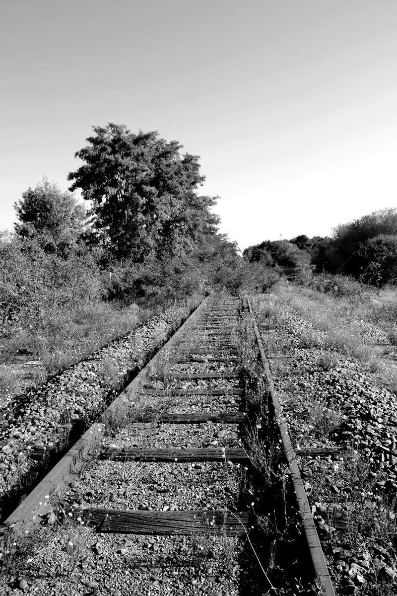 Des rails.. Dsc_2010