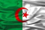 العلم الجزائري 212011