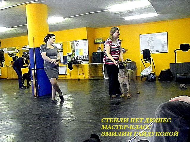 Наши фото с мастер-класса Эмилии Гайдуковой в Санкт-Петербурге Dscn0711
