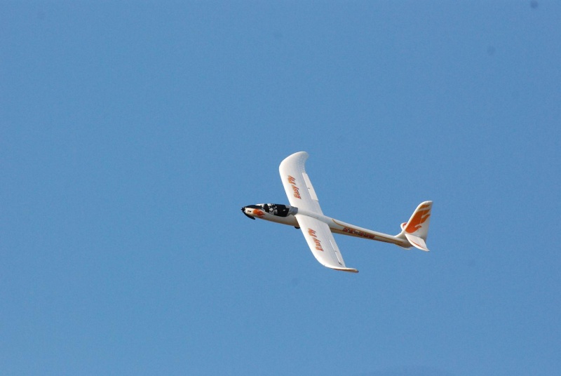 Planeur Easy Fly et jet A10 Warhog Easyfl10