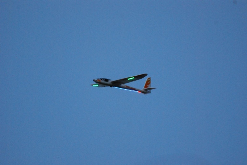 Planeur Easy Fly et jet A10 Warhog Easyfl13