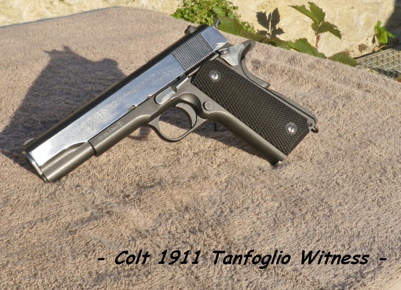 Tanfoglio Witness 1911 Co2 4.5mm blowback Bbs - Page 3 Imgp1616