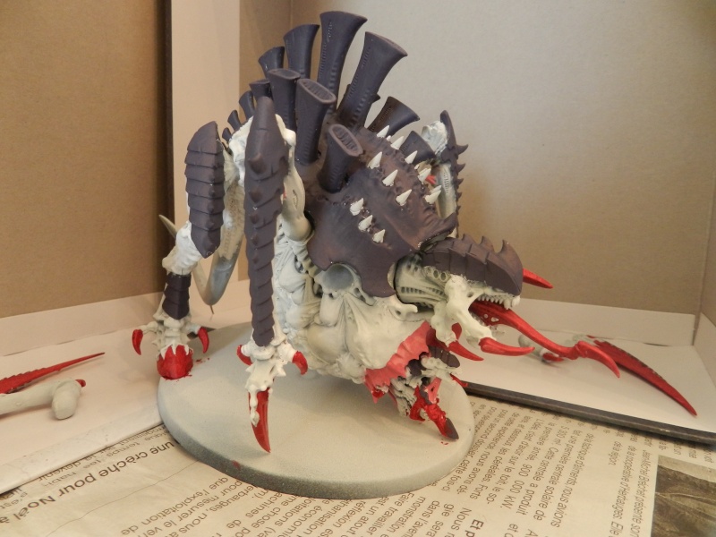 [Concours Mars 2012] LP : Tervigon Dscn0811