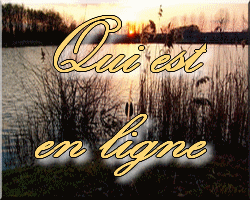 Qui est en ligne ?