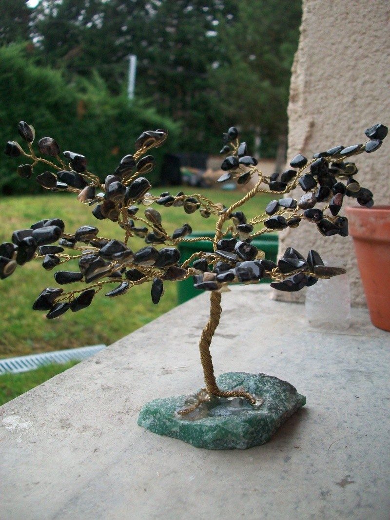 Arbre d'obsidienne 100_2614