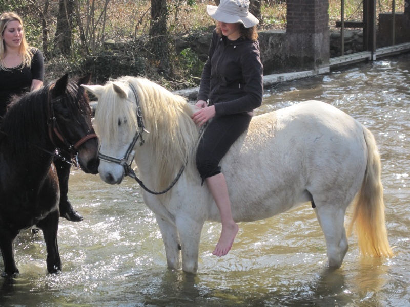 Pique nique aux étangs de Rives: Le 25 MARS!!!! C'est fait, photos et vidéos à partir de la P9. - Page 7 Photo_14