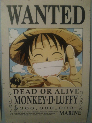 Monkey.D.Luffy, le seul et l'unique  Dsc_0013