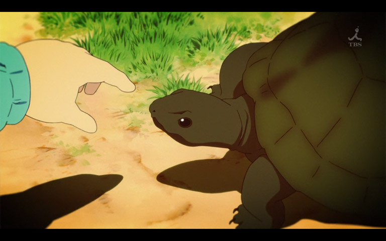 Torterra (Turtle) K_on2_10