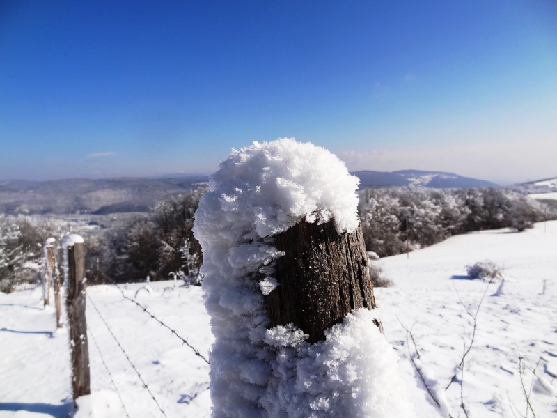 BEAUTE DE NEIGE Piquet10