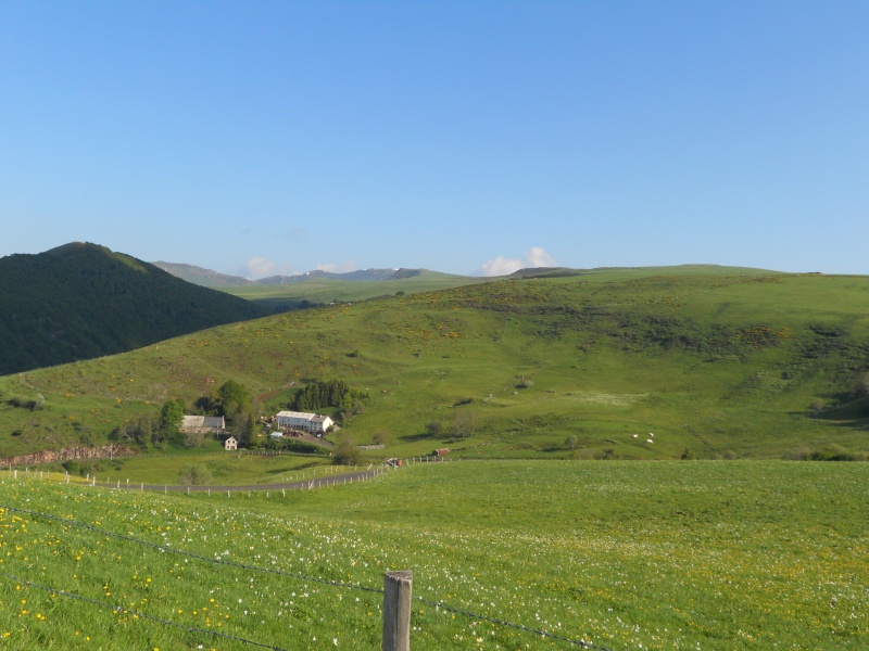 Le Plomb du Cantal et le col de Prat de Bouc Dscn0212