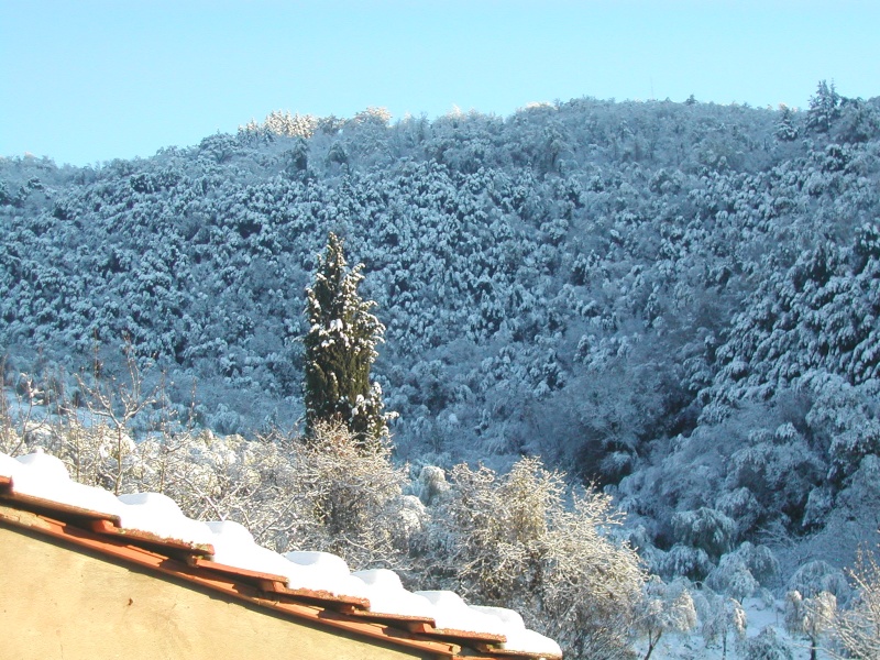 Osservazioni 8 dicembre Dic410