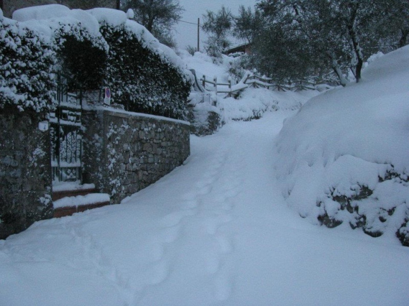 2012 - Partigliano (LU) 1 febbraio 2012 Snow210