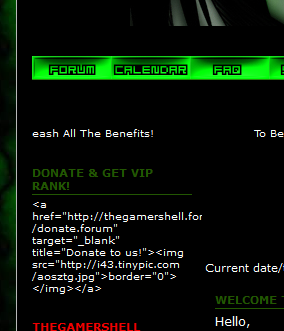 Donate HTML WIDGET Won't Work 210