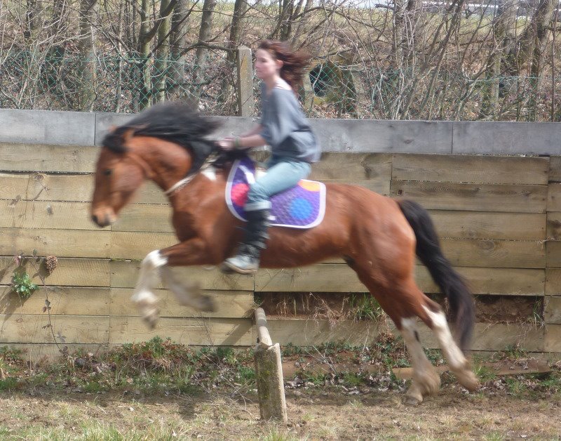 STAR TOUJOURS dite LULU - OC typée Connemara née en 2006 - adoptée en mars 2011 par Auriane - Page 2 39894310
