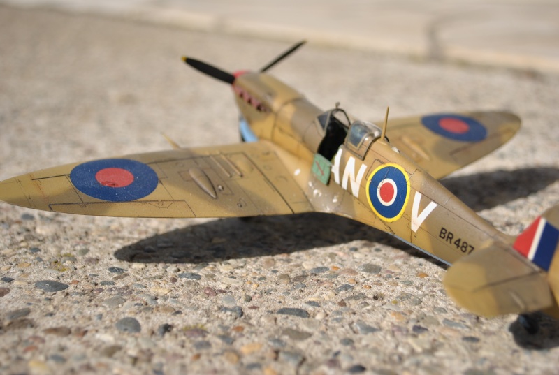 Spitfire Mk V B Trop - 1/48e Maquet12