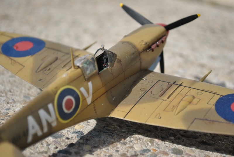 Spitfire Mk V B Trop - 1/48e Maquet13