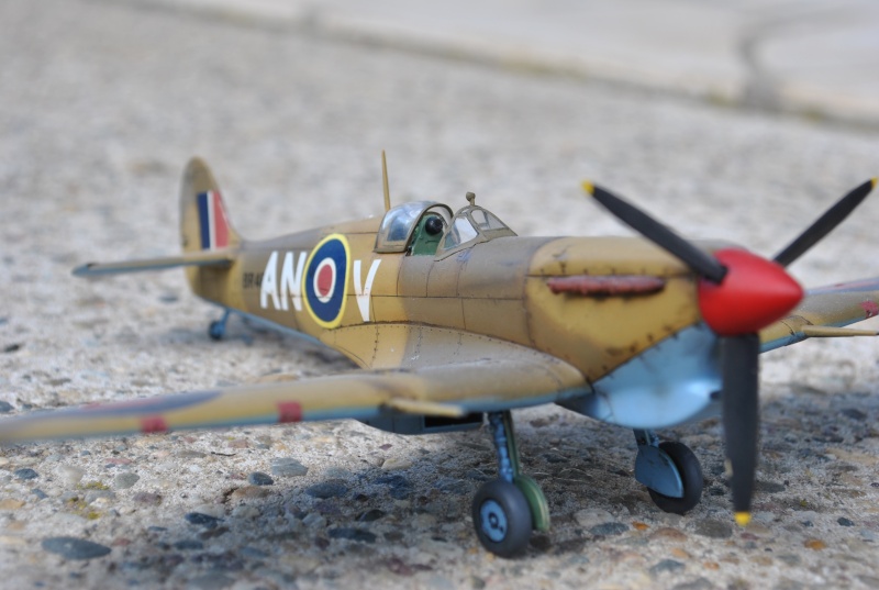 Spitfire Mk V B Trop - 1/48e Maquet14